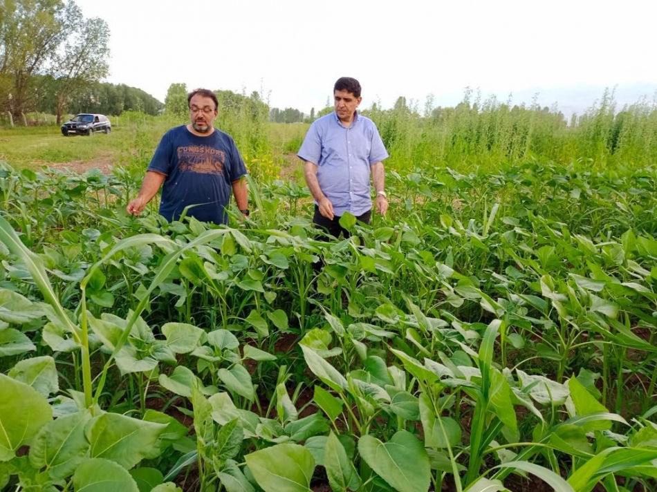 2023/07/1688381106_rektor_alma_tuam_bunyesinde_Uretilen_tarimsal_Urunleri_yerinde_Inceledi_3.jpg