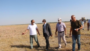   IĞDIR CUMHURİYET BAŞSAVCILIĞININ DAP (DOĞU ANADOLU PROJESİ  ) İLE GERÇEKLEŞTİRDİĞİ PROJE 