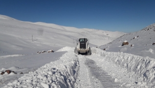 IĞDIR' DA KAPALI KÖY YOLLARI AÇILDI