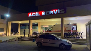 IĞDIR DA FİLYASYON EKİBİ KAZA YAPTI