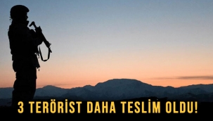 İKNA EDİLEN 3 BTÖ MENSUBU TESLİM OLDU  