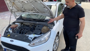       IĞDIR'DA BİR KUŞ OTOMOBİLE YUVA YAPTI.