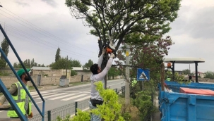 Trafiği Engelleyen Dallar Budandı