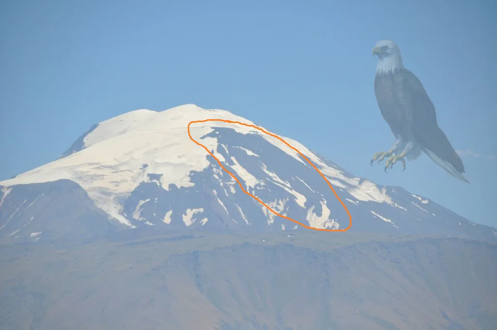 AĞRI DAĞININ ZİRVESİNDEKİ KARTAL (ZÜMRÜDÜAMKA)