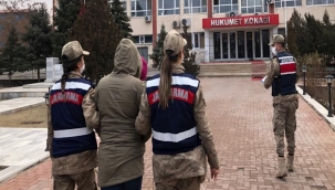 JANDARMA YILAN ZEHRİ ELE GEÇİRİLDİ.