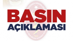 Veteriner Hekim İstihdamı