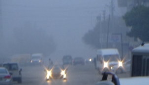 IĞDIRDA SİS HAYATI OLUMSUZ ETKİLİYOR