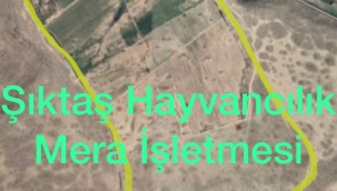 HIRSIZLARI JANDARMA SUÇÜSTÜ YAKALADI