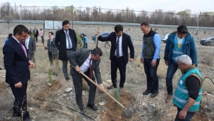 IĞDIR ADLİYESİ ADALET ORMANI AĞAÇ DİKİM ETKİNLİĞİ