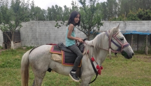 KIPÇAK AT ÇİFTLİĞİ VE PİKNİK ALANI İLGİ GÖRÜYOR.