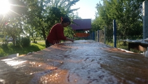 Ayyıldız Kooperatifi kayısı pestili üretiyor