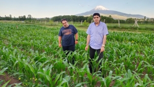 Rektör Alma TUAM Bünyesinde Üretilen Tarımsal Ürünleri Yerinde İnceledi