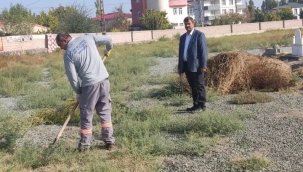  Söğütlü mahallesi Mezarlığı'nda Bakım Çalışması