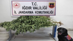 Kaçakçılık Olayları