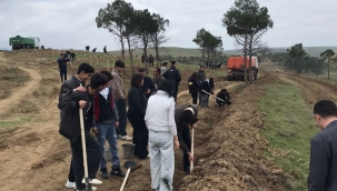 Azerbaycan'ın Siyezen bölgesinde Türk Dünyası Ağaçlandırma Günüyle alakalı ağaç dikildi.... 