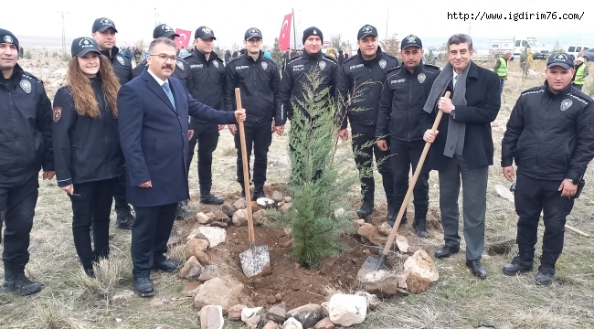 Iğdır'da 40 Bin Fidan Toprakla Buluştu