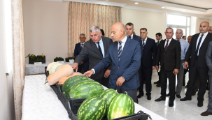 Masallıda "Tərəvəz və çəltik əkin sahələrində görülmüş işlər və qarşıda duran vəzifələr" mövzusunda müşavirə