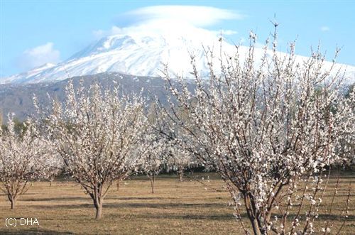 Iğdır'da İki Mevsim Aynı Karede