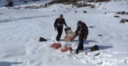 AĞRI DAĞINA YEM BIRAKILDI 