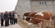 IĞDIR VALİSİ AHMET PEK, DAP PROJESİ KAPSAMINDA HAYVAN YETİŞTİRİCİLİĞİ YAPAN YATIRIMCILARI ZİYARET ETTİ.