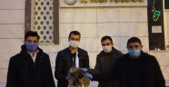 Köpek yavrusu cami avlusuna terk edildi 