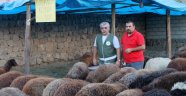 KURBANA ACI ÇEKTİRENE PARA CEZASI… 