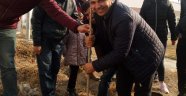 OKUL BAHÇESİNİ AĞAÇLANDIRDILAR 