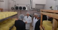 Vali Enver Ünlü Aytepe Süt ve Süt Ürünleri ziyaret etti 
